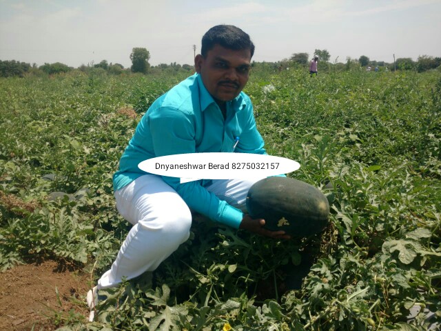 Green Planet Bio Products Ahmednagar Mobile  shop Ahmednagar